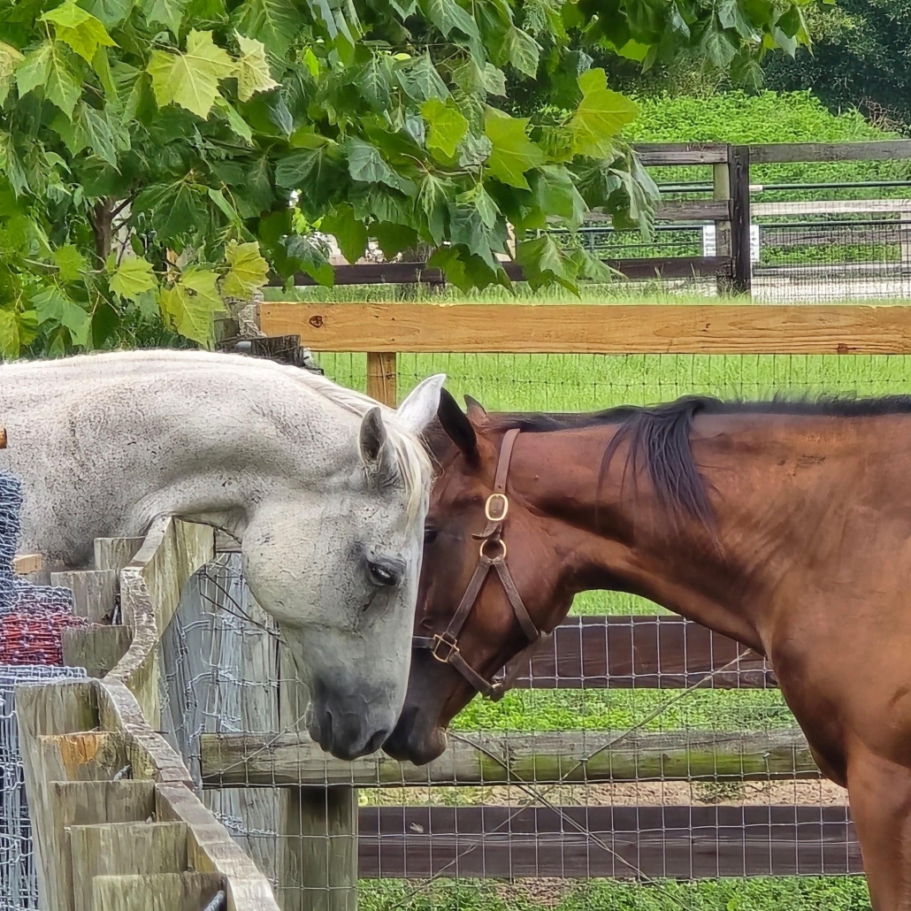 Bounty and Katherine