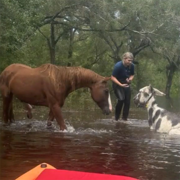 Avery saving Milly after hurricane