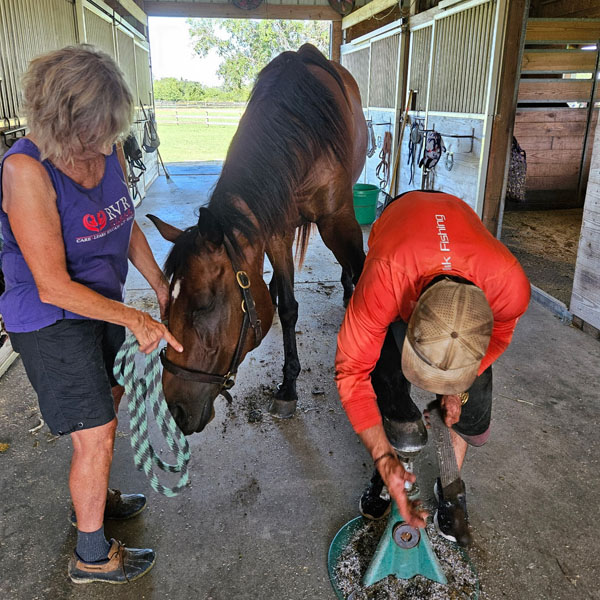 Melissa and Farrier 600x600